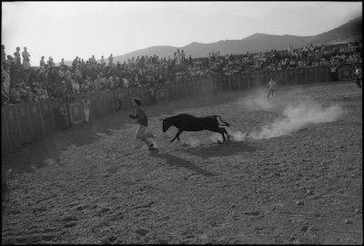 Pamplona, 1981